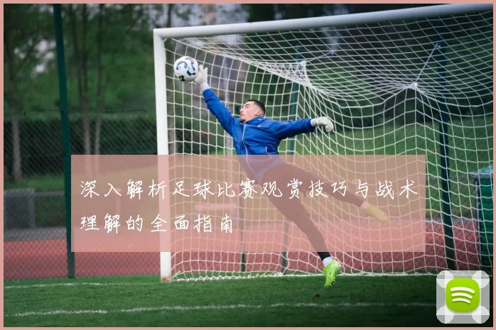 深入解析足球比赛观赏技巧与战术理解的全面指南