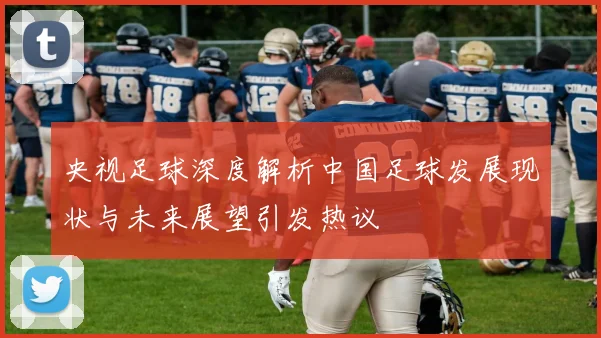 央视足球深度解析中国足球发展现状与未来展望引发热议