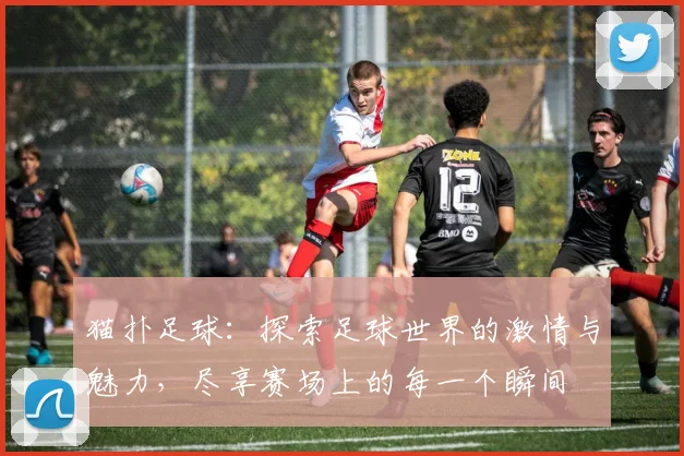 猫扑足球：探索足球世界的激情与魅力，尽享赛场上的每一个瞬间