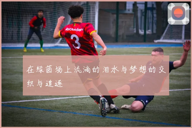 在绿茵场上流淌的泪水与梦想的交织与追逐