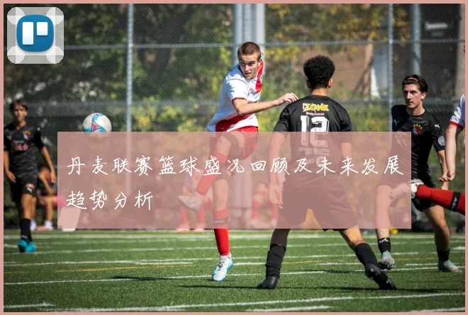 丹麦联赛篮球盛况回顾及未来发展趋势分析