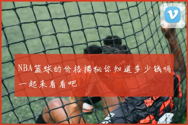 NBA篮球的价格揭秘你知道多少钱吗一起来看看吧