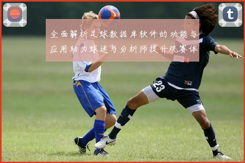 全面解析足球数据库软件的功能与应用助力球迷与分析师提升观赛体验