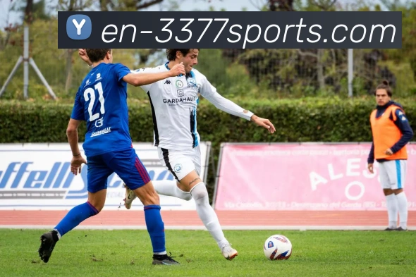 3377体育发展历程